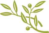 Olive Garden Coupons